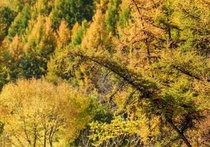 直穿还是直白？爱丝的原图让人纠结，只想在操场上扔掉书包！