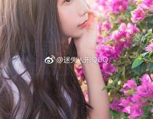 迷失人形QUQ与它们的犬月精选：一场说走就走的尾巴聚会